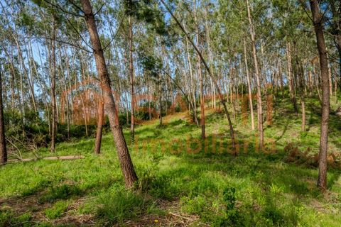 Helårsgrund i Leiria, Leiria, Leiria - € 50.000 | Ref: SAFTI:008217 - foto 6