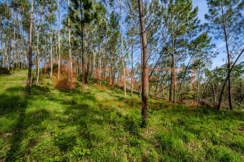 Helårsgrund i Leiria, Leiria, Leiria - € 50.000 | Ref: SAFTI:008217 - foto 7