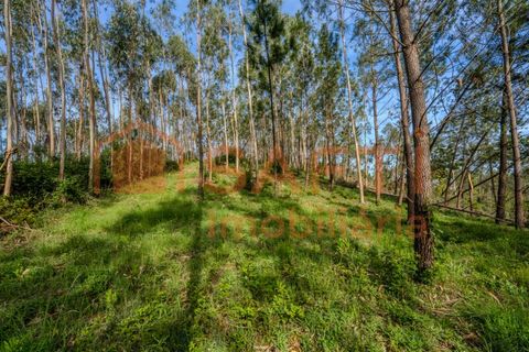 Helårsgrund i Leiria, Leiria, Leiria - € 50.000 | Ref: SAFTI:008217 - foto 8