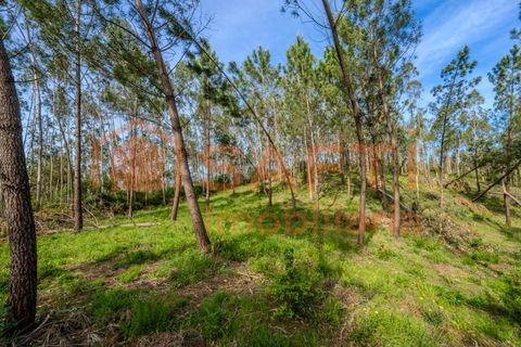 Helårsgrund i Leiria, Leiria, Leiria - € 50.000 | Ref: SAFTI:008217 - foto 9
