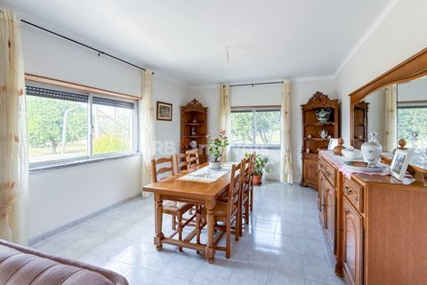 Farm i Golega, Santarem, Golega - € 682.000 | Ref: 01985-26 - foto 19