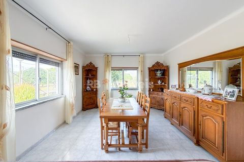 Farm i Golega, Santarem, Golega - € 682.000 | Ref: 01985-26 - foto 20