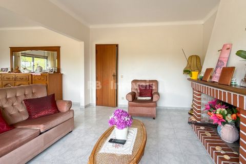 Farm i Golega, Santarem, Golega - € 682.000 | Ref: 01985-26 - foto 27