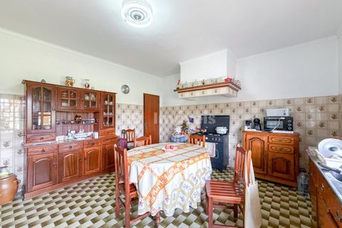Farm i Golega, Santarem, Golega - € 682.000 | Ref: 01985-26 - foto 31