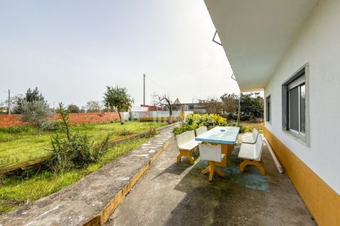 Farm i Golega, Santarem, Golega - € 682.000 | Ref: 01985-26 - foto 34