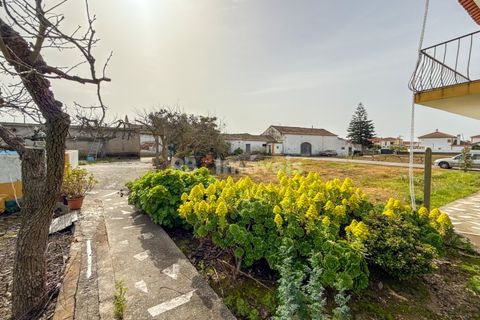 Farm i Golega, Santarem, Golega - € 682.000 | Ref: 01985-26 - foto 35