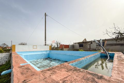 Farm i Golega, Santarem, Golega - € 682.000 | Ref: 01985-26 - foto 36