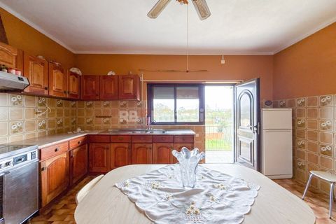 Farm i Golega, Santarem, Golega - € 682.000 | Ref: 01985-26 - foto 41