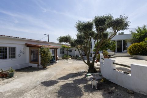 Farm i Ericeira, Lisbon, Ericeira - € 2.200.000 | Ref: MAS_138 - foto 4