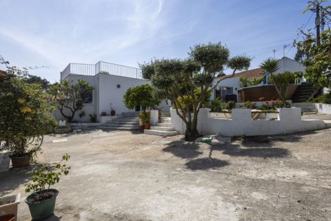 Farm i Ericeira, Lisbon, Ericeira - € 2.200.000 | Ref: MAS_138 - foto 5