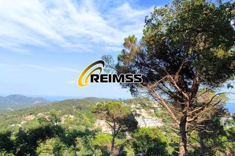Villa i Lloret De Mar, Gerona, Lloret De Mar - € 449.000 | Ref: 5491 - foto 6