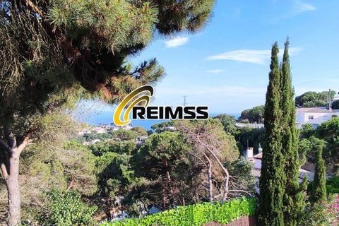 Villa i Lloret De Mar, Gerona, Lloret De Mar - € 449.000 | Ref: 5491 - foto 13