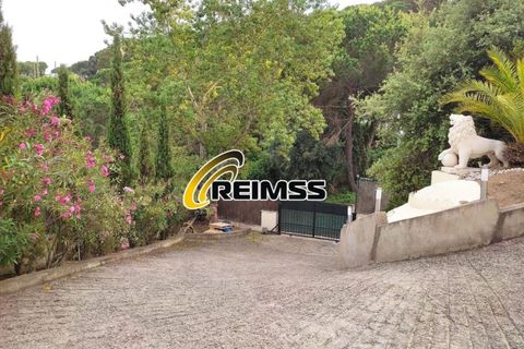 Villa i Lloret De Mar, Gerona, Lloret De Mar - € 449.000 | Ref: 5491 - foto 46