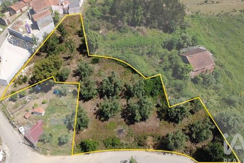 Helårsgrund i Miranda do Corvo, Coimbra, Miranda do Corvo - € 38.200 | Ref: 911476 - foto 3