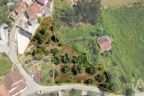 Helårsgrund i Miranda do Corvo, Coimbra, Miranda do Corvo - € 38.200 | Ref: 911476 - foto 4