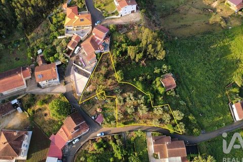 Helårsgrund i Miranda do Corvo, Coimbra, Miranda do Corvo - € 38.200 | Ref: 911476 - foto 5