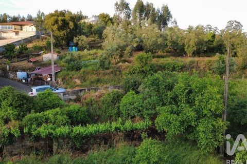 Helårsgrund i Miranda do Corvo, Coimbra, Miranda do Corvo - € 38.200 | Ref: 911476 - foto 12