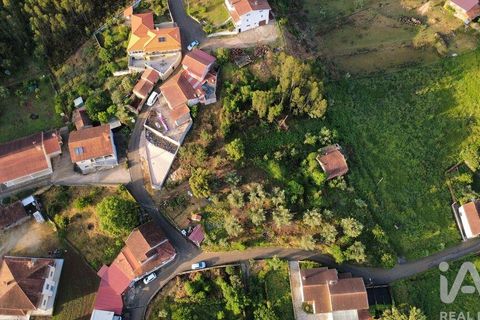 Helårsgrund i Miranda do Corvo, Coimbra, Miranda do Corvo - € 38.200 | Ref: 911476 - foto 14