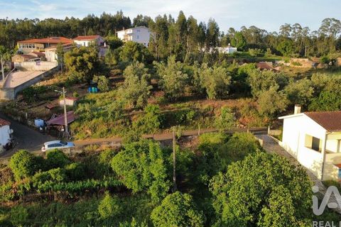 Helårsgrund i Miranda do Corvo, Coimbra, Miranda do Corvo - € 38.200 | Ref: 911476 - foto 15