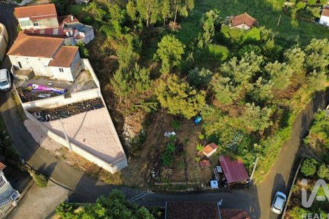 Helårsgrund i Miranda do Corvo, Coimbra, Miranda do Corvo - € 38.200 | Ref: 911476 - foto 16