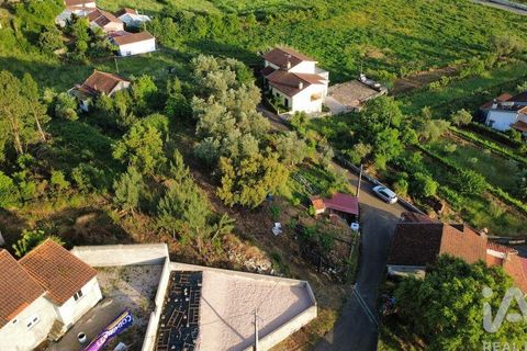Helårsgrund i Miranda do Corvo, Coimbra, Miranda do Corvo - € 38.200 | Ref: 911476 - foto 17