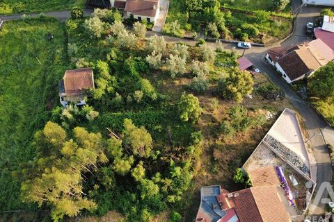 Helårsgrund i Miranda do Corvo, Coimbra, Miranda do Corvo - € 38.200 | Ref: 911476 - foto 18