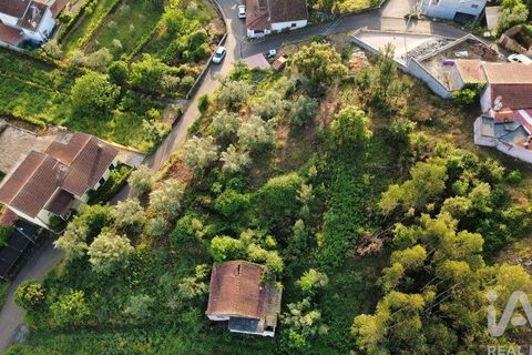 Helårsgrund i Miranda do Corvo, Coimbra, Miranda do Corvo - € 38.200 | Ref: 911476 - foto 19