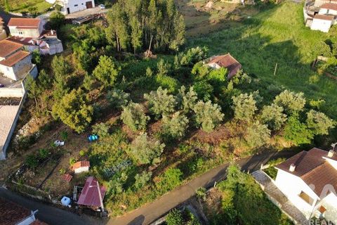Helårsgrund i Miranda do Corvo, Coimbra, Miranda do Corvo - € 38.200 | Ref: 911476 - foto 20