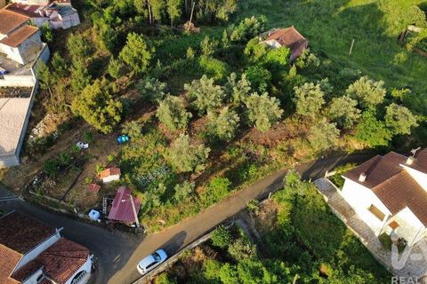 Helårsgrund i Miranda do Corvo, Coimbra, Miranda do Corvo - € 38.200 | Ref: 911476 - foto 21