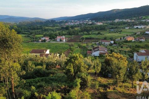 Helårsgrund i Miranda do Corvo, Coimbra, Miranda do Corvo - € 38.200 | Ref: 911476 - foto 22
