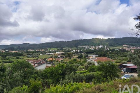 Helårsgrund i Miranda do Corvo, Coimbra, Miranda do Corvo - € 38.200 | Ref: 911476 - foto 24