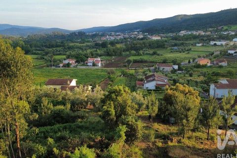 Helårsgrund i Miranda do Corvo, Coimbra, Miranda do Corvo - € 38.200 | Ref: 911476 - foto 25
