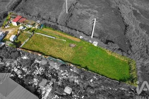 Helårsgrund i Torres Vedras, Lisbon, Torres Vedras - € 97.500 | Ref: 912339 - foto 1