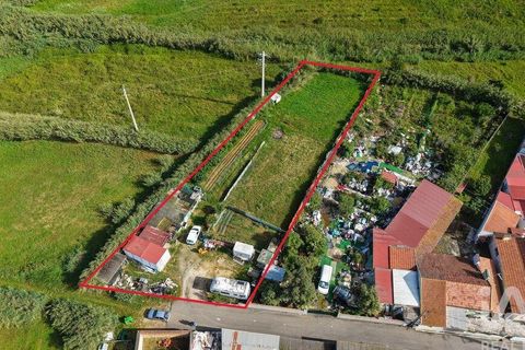 Helårsgrund i Torres Vedras, Lisbon, Torres Vedras - € 97.500 | Ref: 912339 - foto 2