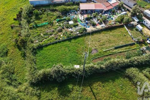 Helårsgrund i Torres Vedras, Lisbon, Torres Vedras - € 97.500 | Ref: 912339 - foto 13