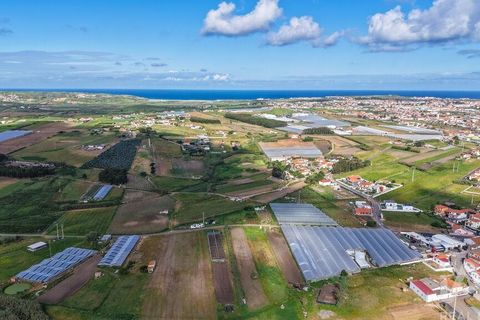 Helårsgrund i Torres Vedras, Lisbon, Torres Vedras - € 97.500 | Ref: 912339 - foto 14