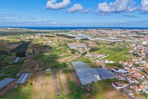 Helårsgrund i Torres Vedras, Lisbon, Torres Vedras - € 97.500 | Ref: 912339 - foto 15