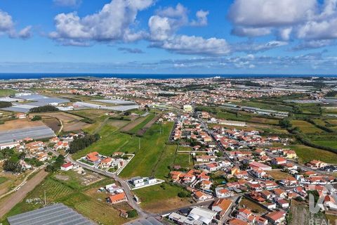 Helårsgrund i Torres Vedras, Lisbon, Torres Vedras - € 97.500 | Ref: 912339 - foto 17