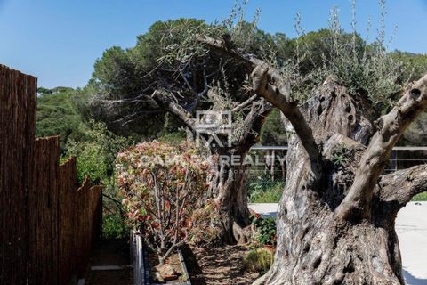Villa i Platja D'aro, Gerona, Platja D'aro - € 3.000.000 | Ref: 72512 - foto 46