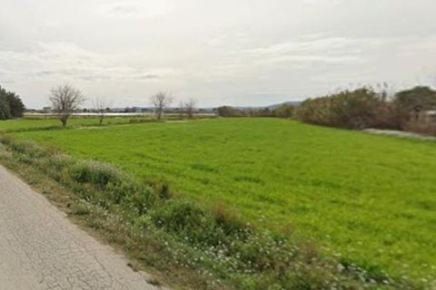 Terra a Catral, Alicante, Catral - € 14.500 | Ref: F141/3390 - foto 4