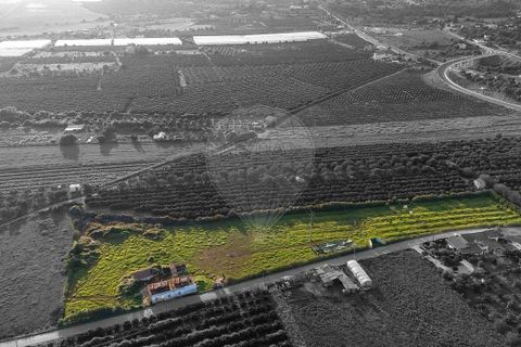 Masia a Silves, Faro, Silves - € 350.000 | Ref: 122881279-26 - foto 2