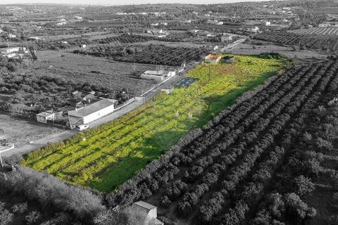 Masia a Silves, Faro, Silves - € 350.000 | Ref: 122881279-26 - foto 3