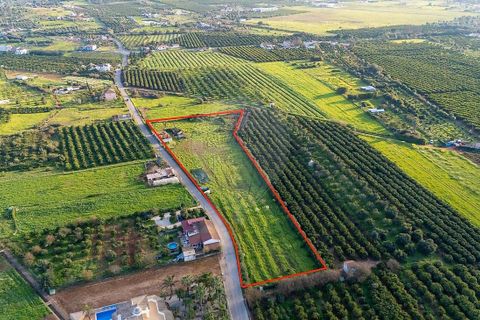 Masia a Silves, Faro, Silves - € 350.000 | Ref: 122881279-26 - foto 4