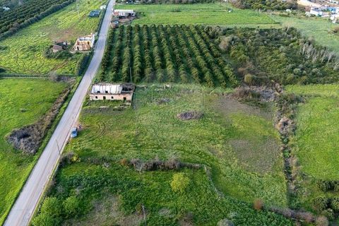 Masia a Silves, Faro, Silves - € 350.000 | Ref: 122881279-26 - foto 9