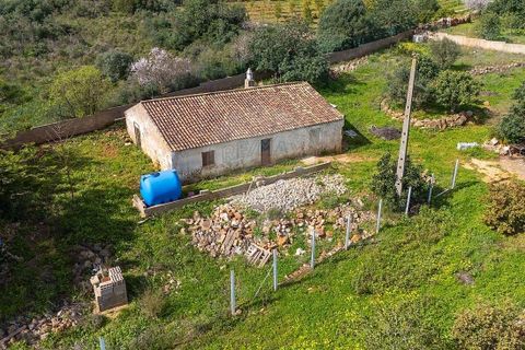 Villa a Lagoa, Faro, Lagoa - € 380.000 | Ref: 122881279-22 - foto 5