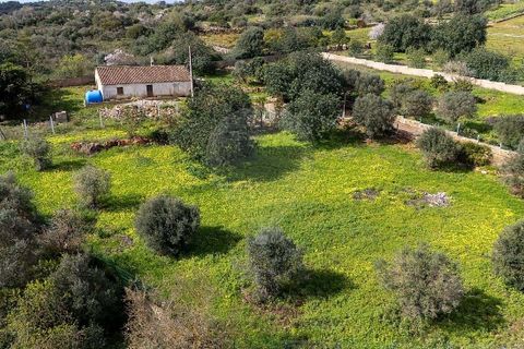 Villa a Lagoa, Faro, Lagoa - € 380.000 | Ref: 122881279-22 - foto 8