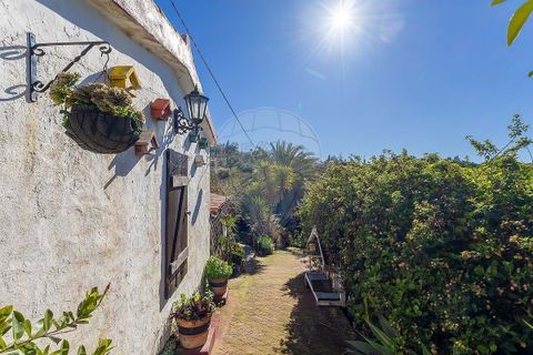 Farm hus i Lagoa, Faro, Lagoa - € 330.000 | Ref: 122881261-21 - foto 12