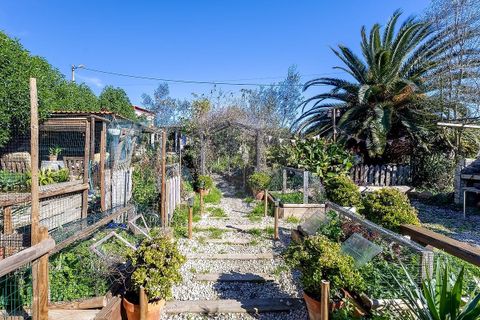 Farm hus i Lagoa, Faro, Lagoa - € 330.000 | Ref: 122881261-21 - foto 14