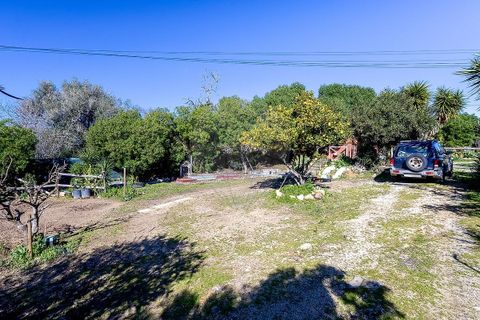 Farm hus i Lagoa, Faro, Lagoa - € 330.000 | Ref: 122881261-21 - foto 15