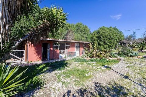 Farm hus i Lagoa, Faro, Lagoa - € 330.000 | Ref: 122881261-21 - foto 16